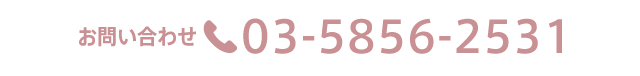 お問い合わせ 03-5856-2531